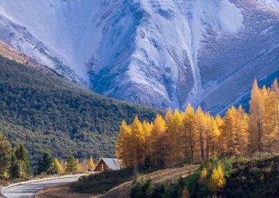 Arthurs Pass, South Island, New Zealand