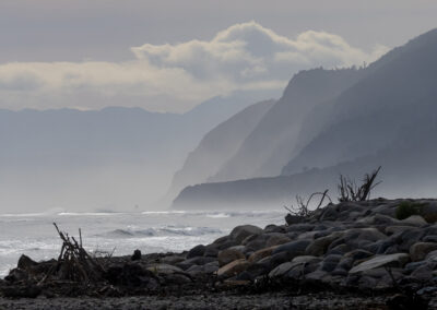 The Wild West Coast