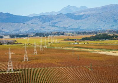 Wine Country, South Island, New Zealand